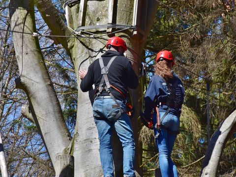 Boscamping Appelscha - Camping Ooststellingwerf - Afbeelding N°4