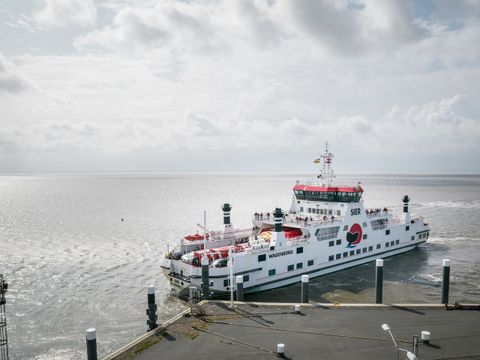 Landal Ameland State - Camping Ameland - Afbeelding N°3