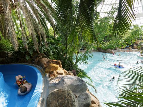 Center Parcs De Vossemeren - Camping Belgisch Limburg - Afbeelding N°5