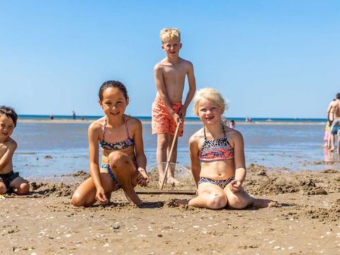 Molecaten Park Noordduinen - Camping Katwijk am Meer - Afbeelding N°5