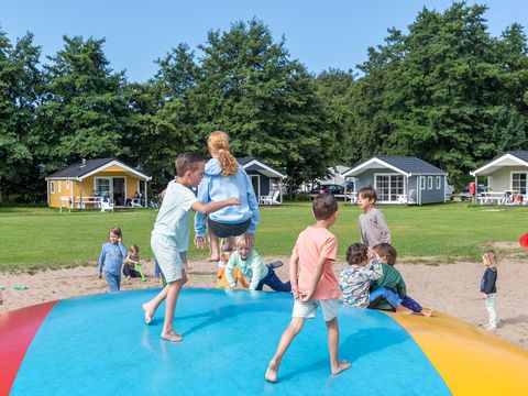 Molecaten Park Waterbos - Camping Westvoorne - Afbeelding N°2