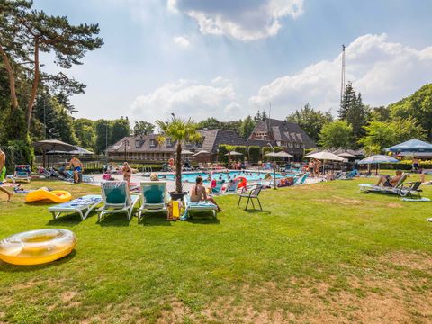 TopParken Landgoed de Scheleberg - Camping Ede - Afbeelding N°2