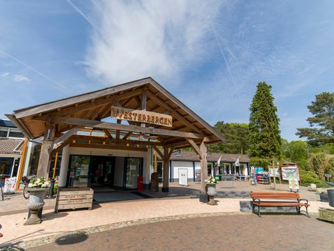 Vakantiepark Westerbergen - Camping De Wolden - Afbeelding N°3