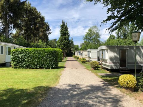 Ferienpark Eifellux - Camping Rijnland-Palts