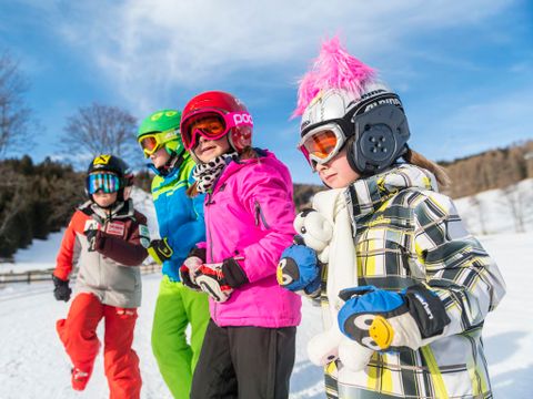 Landal Alpen Chalets Bad Kleinkirchheim - Camping Karinthië - Afbeelding N°4