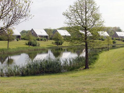 Maaspark Boschmolenplas - Camping Maasgouw - Afbeelding N°4