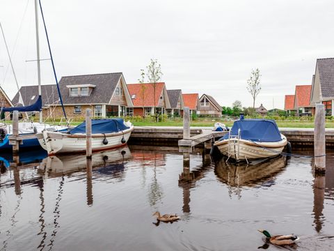 Landal Waterpark Terherne - Camping Friesische Seen - Afbeelding N°2