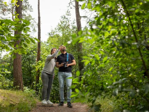 Landal De Vlinderhoeve - Camping Lochem - Afbeelding N°3