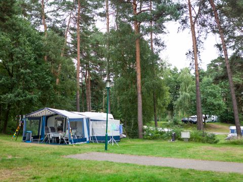 Oostappen park Boschbeek - Camping Roerdalen - Afbeelding N°5