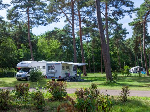 Oostappen park Boschbeek - Camping Roerdalen - Afbeelding N°2