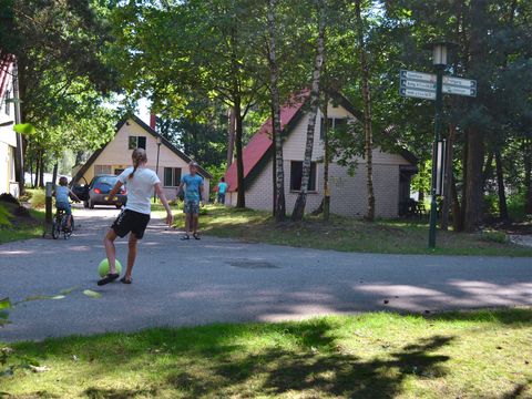 Oostappen park Boschbeek - Camping Roerdalen