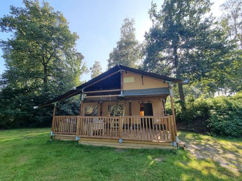 Landal Glamping Neufchateau - Camping Belgisch-Luxemburg - Afbeelding N°2