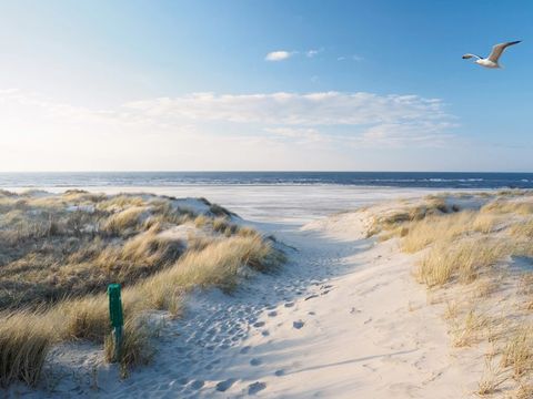 Dormio Nieuwvliet-Bad - Camping Sluis