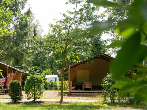 Vodatent Camping de Zeven Heuveltjes - Camping Borger-Odoorn - Afbeelding N°0