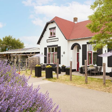 Appartement 4 personen - Toppershoedje